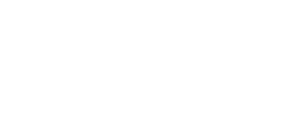 VidSummit